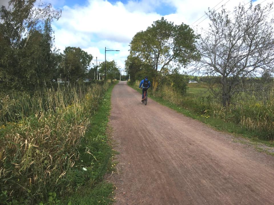 The Confederation Trail has a number of users including walkers and cyclists. 