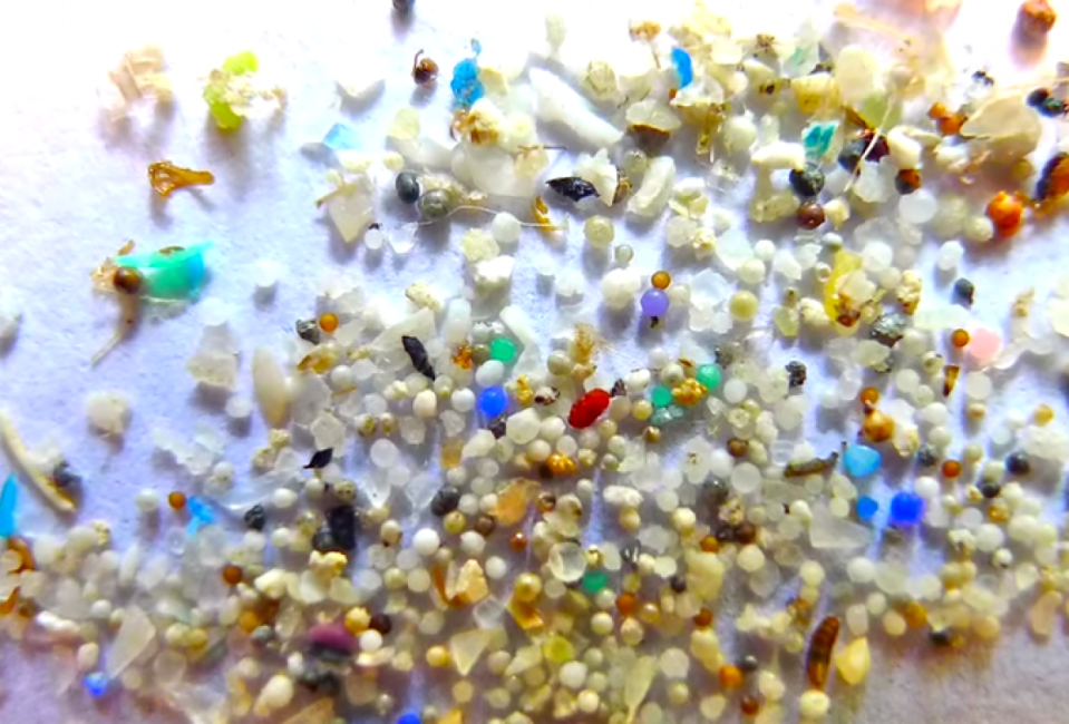 Gyres plastic microbead detail