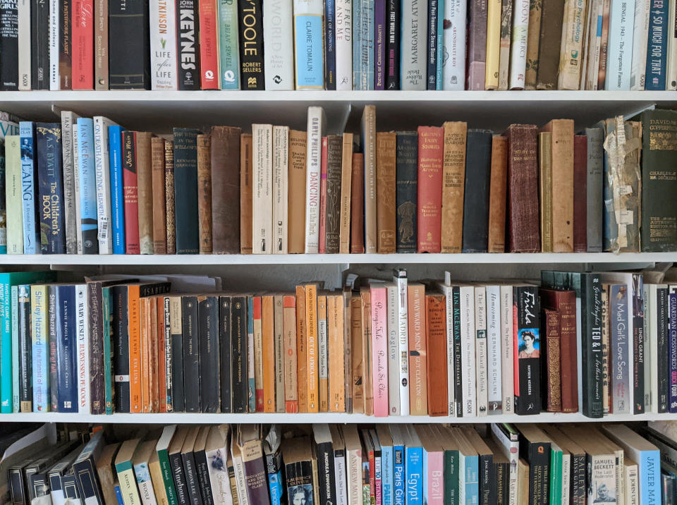 Shelves of several different books