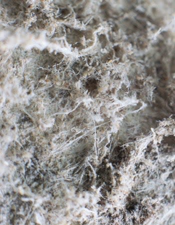 Asbestos Types