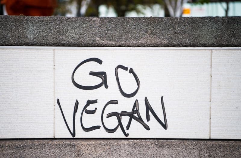 Doing Veganuary? If you have not yet adopted a vegetarian or vegan diet, try approaching it in small stages. Andreas Arnold/dpa/dpa