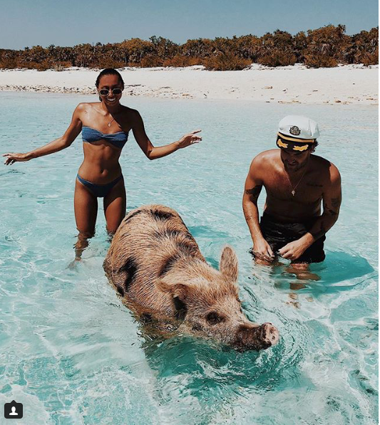 <p>The pair are seen posing with a pig on the island of Staniel Cay which is a part of The Bahamas.</p>