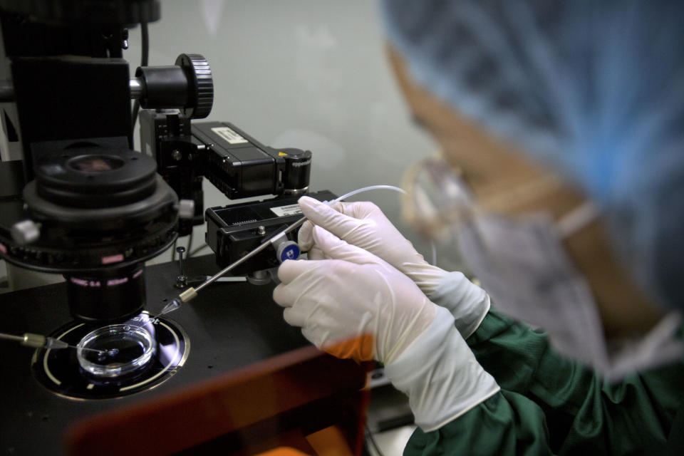 In this Oct. 9, 2018, photo, Zhou Xiaoqin installs a fine glass pipette into a sperm injection microscope in preparation for injecting embryos with Cas9 protein and PCSK9 sgRNA at a lab in Shenzhen in southern China's Guandong province. China's government on Thursday, Nov. 29, 2018, ordered a halt to work by a medical team that claimed to have helped make the world's first gene-edited babies. (AP Photo/Mark Schiefelbein)