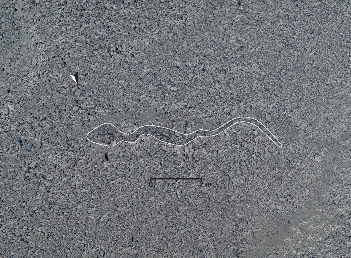 A snake geoglyph.