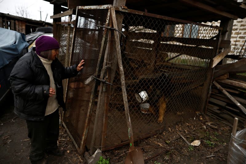 The Wider Image: Behind enemy lines, Ukrainian woman survives with her chickens