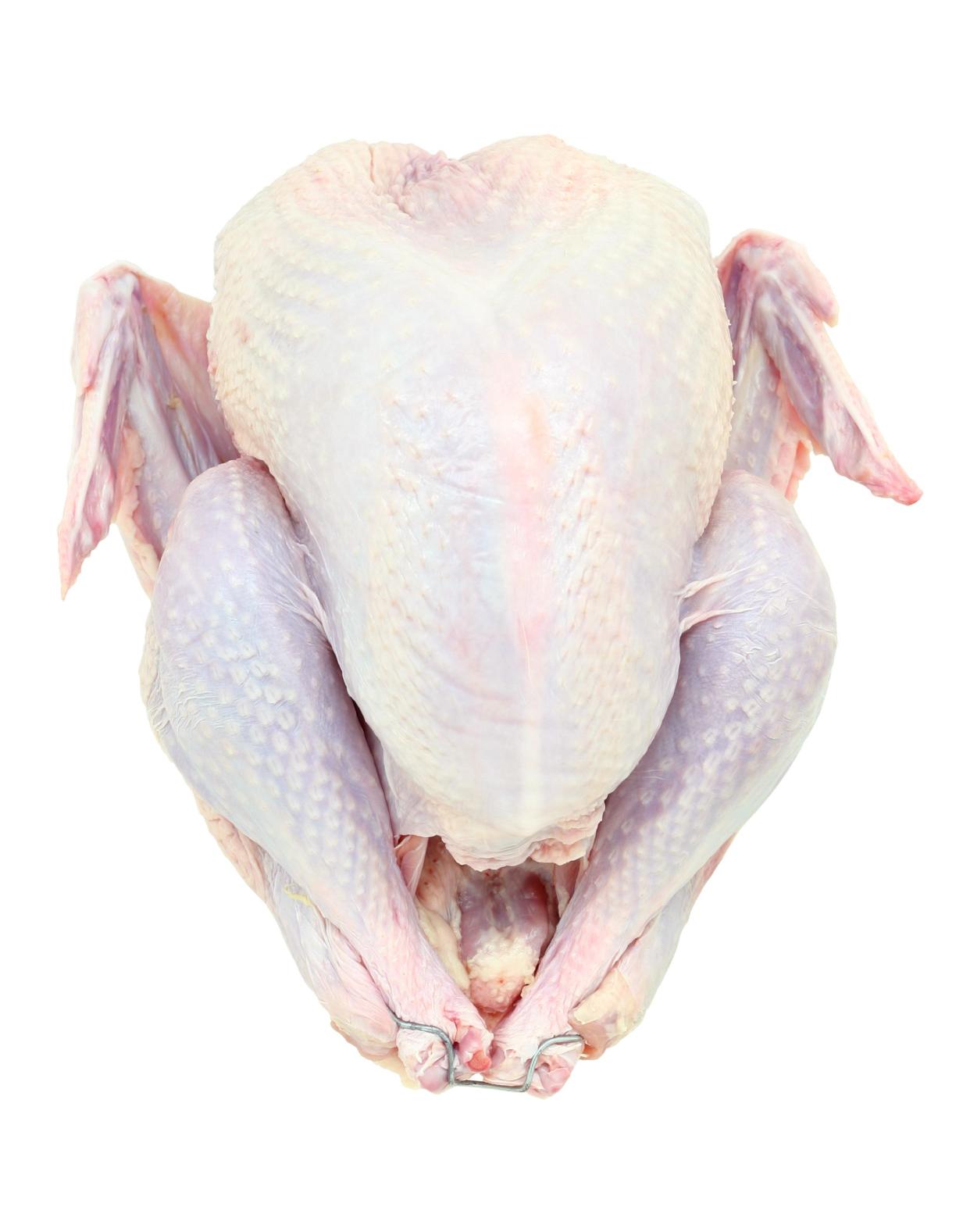 A raw turkey, isolated on a pure white background.