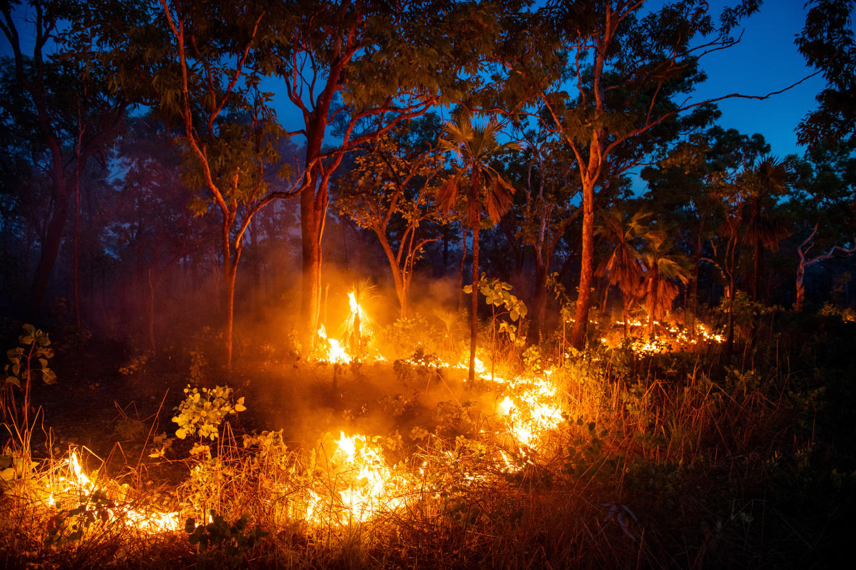 Incendios iniciados por Violet Lawson para eliminar el sotobosque que podría avivar un incendio más destructivo y descontrolado, cerca de Cooinda, en el Territorio del Norte de Australia, el 15 de enero de 2020. (Matthew Abbott/The New York Times).