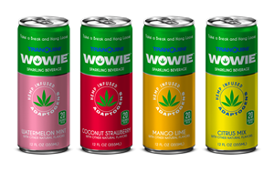 INNOVIOM introduced its natural and hemp-infused relaxation beverages this month to buyers from major retail chains at this month’s ECRM’s Annual Vitamin, Weight Management, Beverage & Sports Nutrition Program.