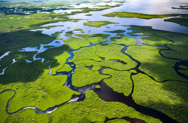 Everglades National Park