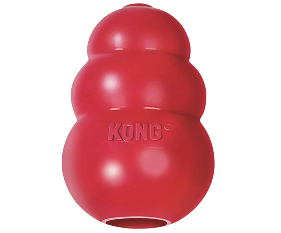 kong dog toy