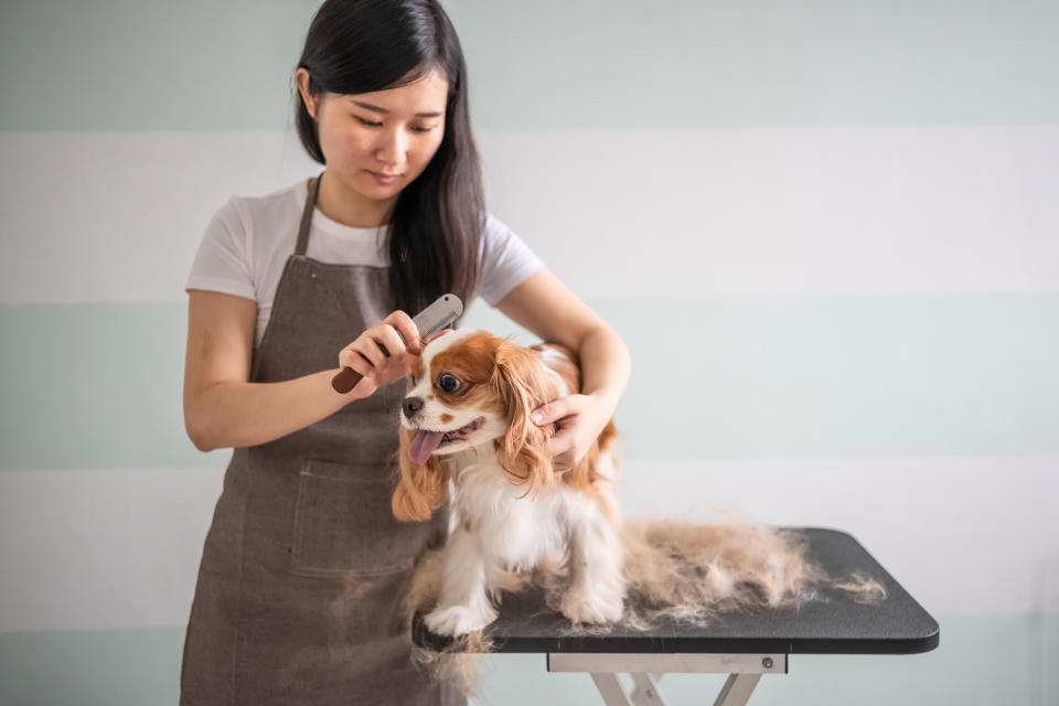 Las esterillas y cojines fabricados para recoger derrames están hechos de una combinación de pelos humanos y de perros (Foto:Getty)