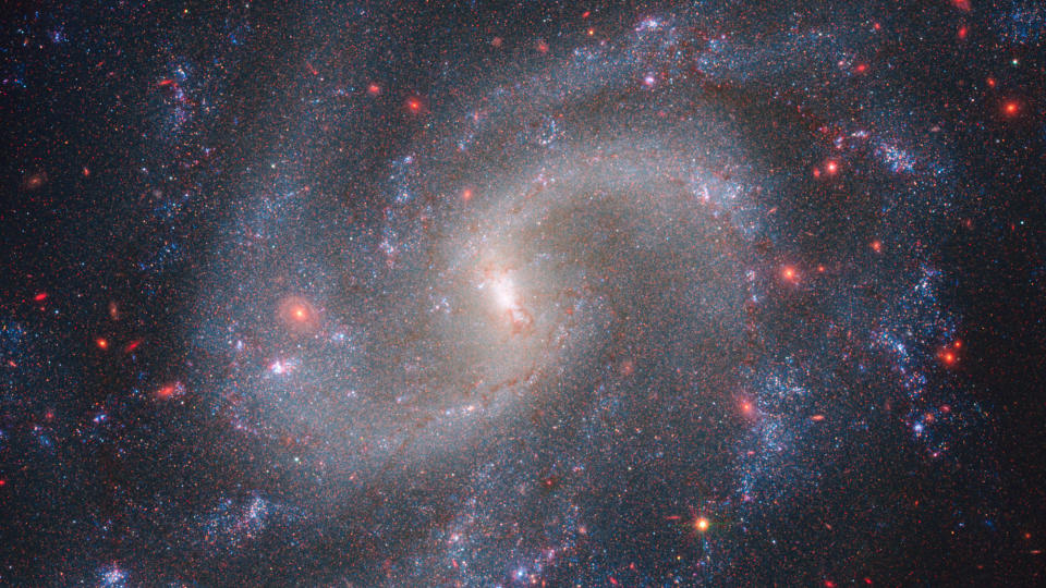 A large galaxy takes up the entirety of the image. The galaxy has a bright white core, and several large spiral arms extending out from that core, rotating clockwise. The arms are light blue with many pink speckles and clumps littering the arms. The background is also filled with a smattering of white and pink dots.