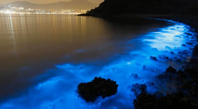 The magnificent blue glow in Hong Kong. Photo: AP Photo/Kin Cheung