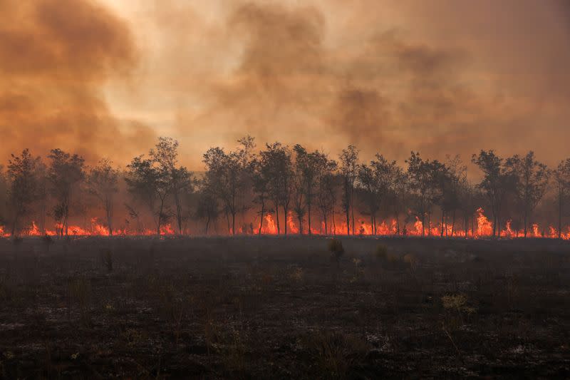 A wildfire still rages in the region of Evros