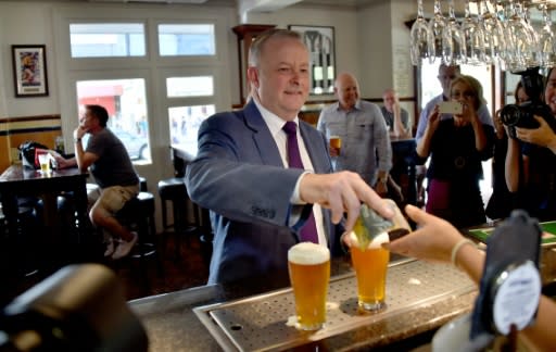 Anthony Albanese is among those jockeying to replace Labor leader Bill Shorten after the party's election loss