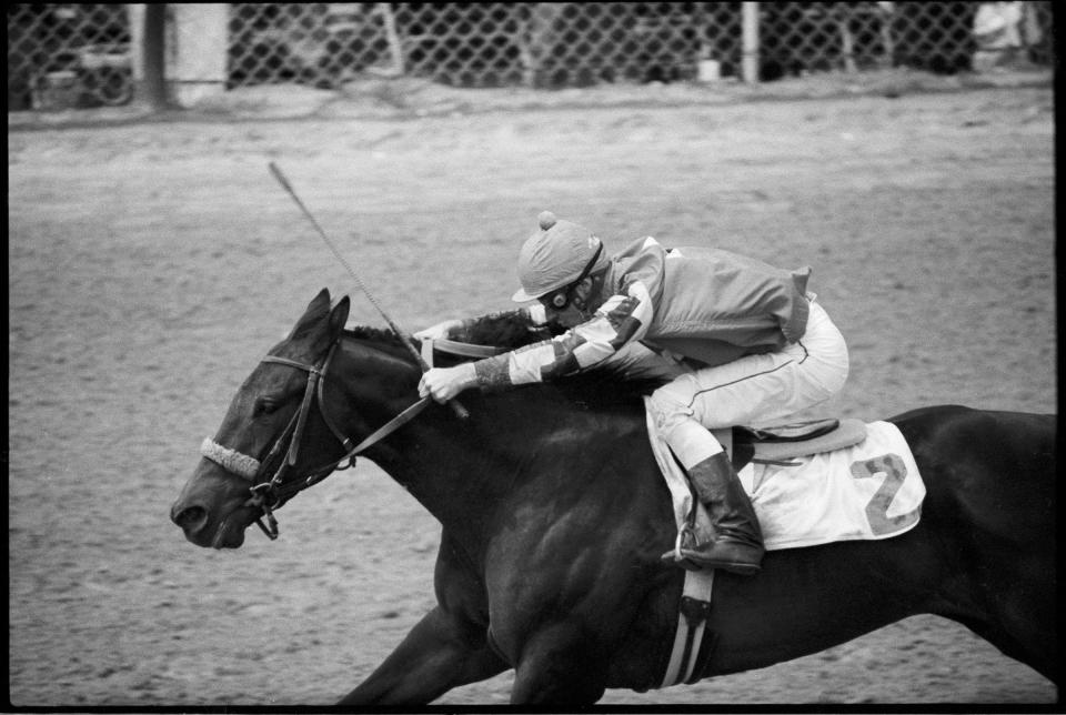 Gato Del Sol with jockey Eddie Delahoussaye aboard wins the Kentucky derby.  May 1, 1982