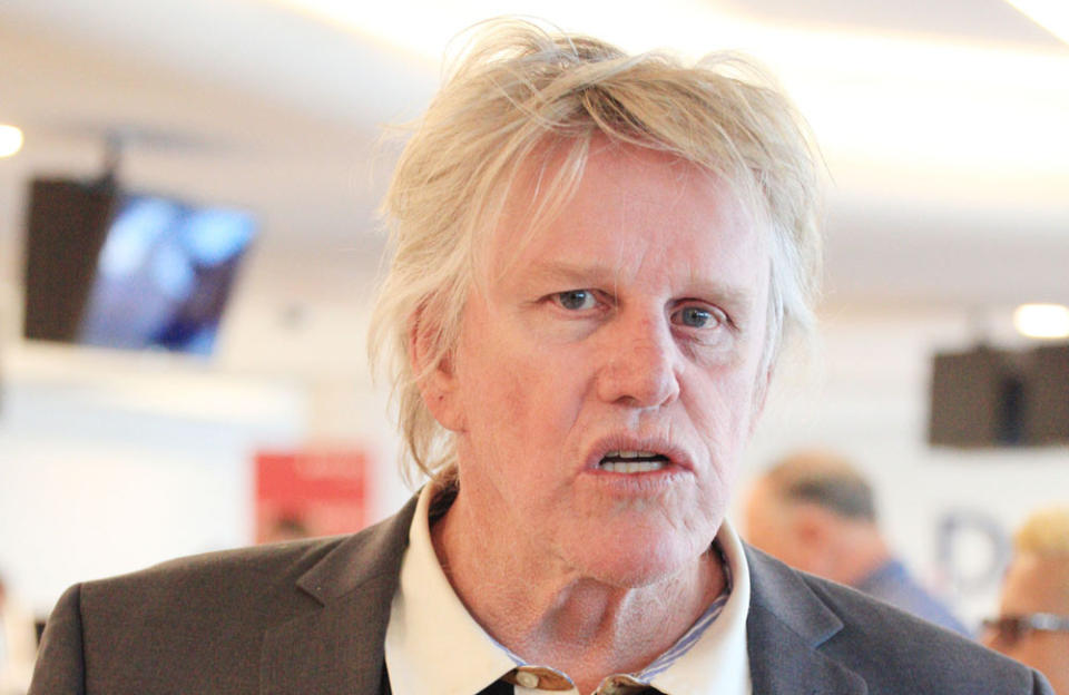 Gary Busey has been charged with three sex crimes that allegedly took place earlier this month at a horror films fan convention credit:Bang Showbiz