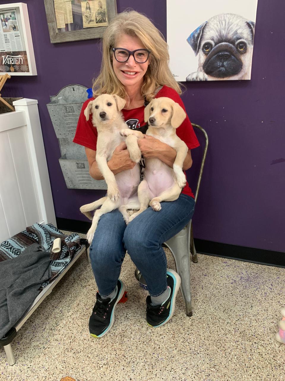 Kim Sill, founder of Shelter Hope Pet Shop in Thousand Oaks, with two rescue puppies at the store.