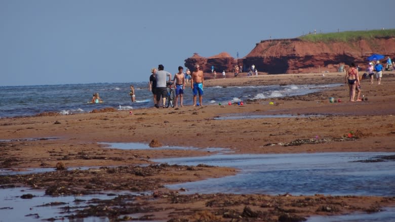 Why P.E.I. isn't testing the water-quality at provincial beaches this summer