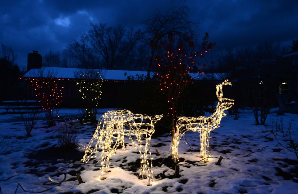 Holiday light displays line the trails, on Dec. 4, 2020, at the Andrew J. Conner Nature Center at Asbury Woods in Millcreek Township for the Winter Wonderland event.