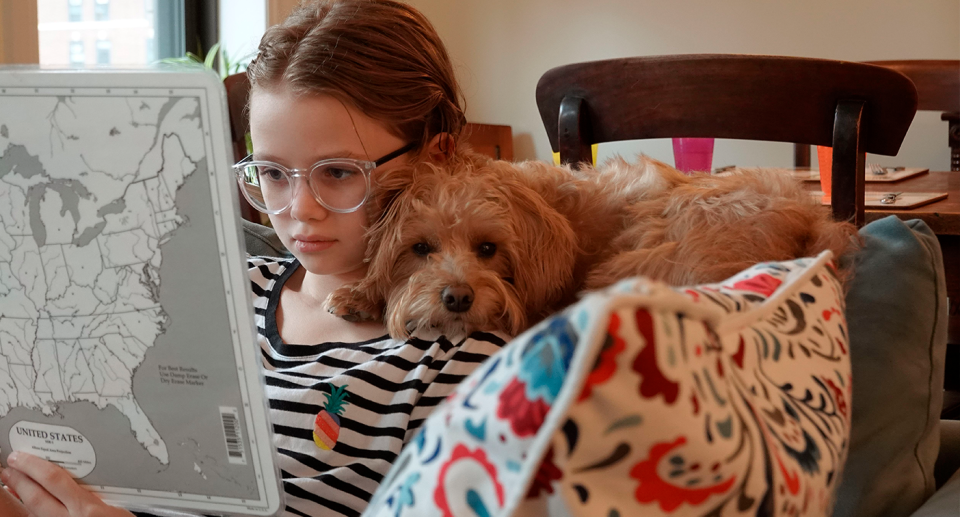 In New York and Paris having pets in apartments is much more accepted than it is in Australia. Source: Getty (File)