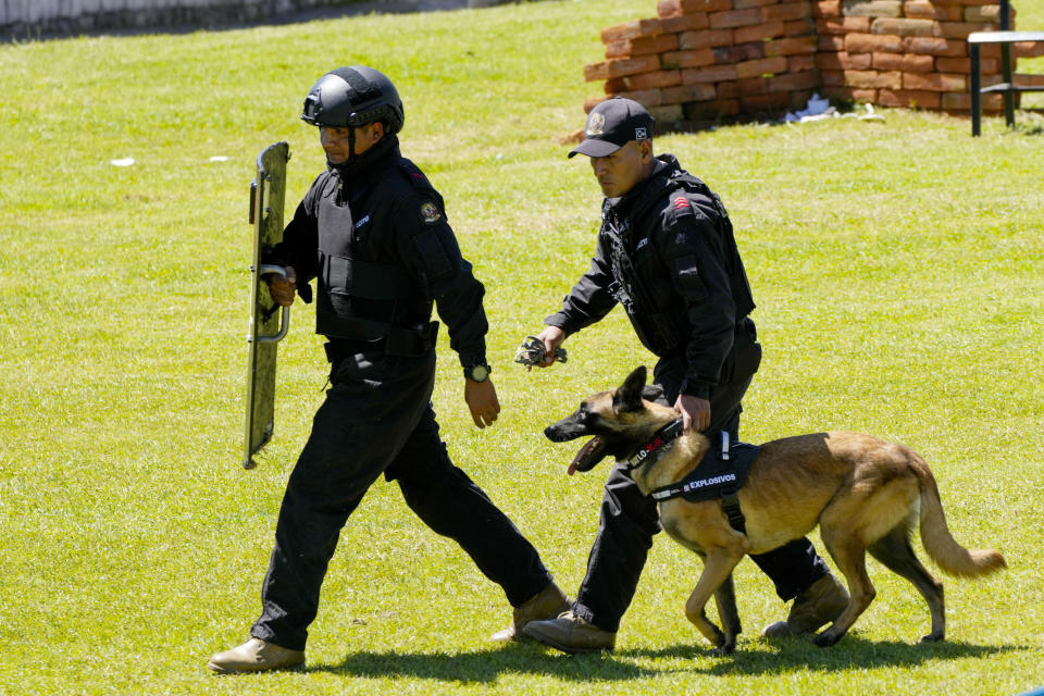 Dayco the dog takes part in a demonstration of his work after he received a medal during a ceremony that recognizes the work of dogs that belong to the Counterintelligence Group of the Army in Quito, Ecuador, Monday, June 3, 2024. (AP Photo/Dolores Ochoa)