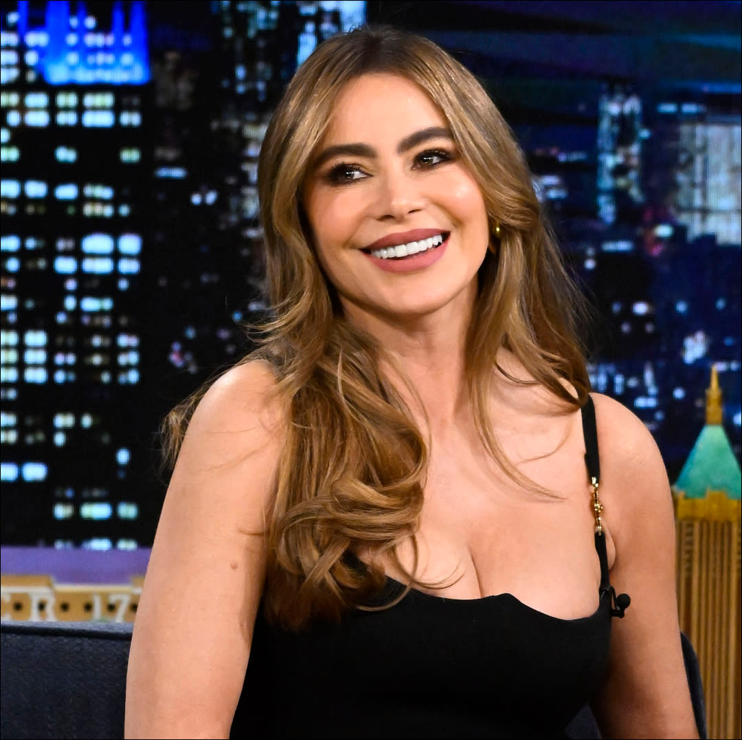  Actress Sofía Vergara dishes on the possibility of a "Modern Family" reboot. 