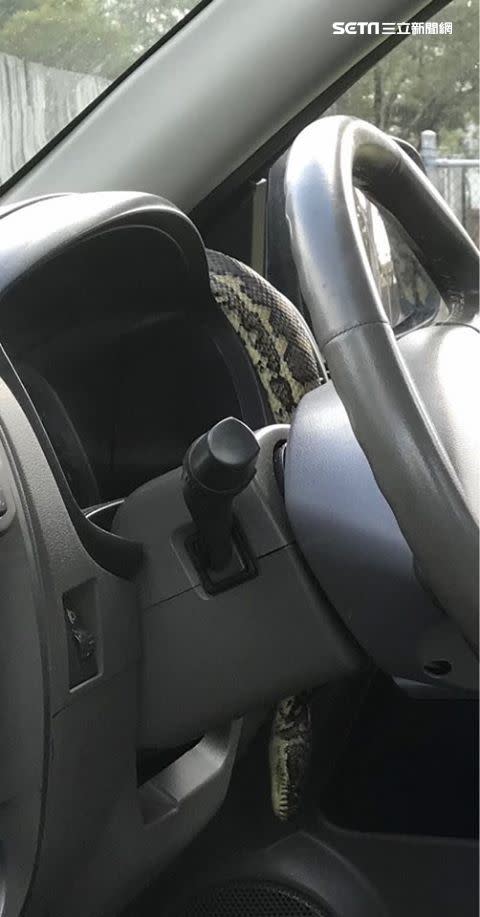 澳洲一名車主，自家車輛儀表板上突然被一隻巨大地毯莫瑞蟒（Carpet python）盤據。（圖／Brendan Dyer授權提供）