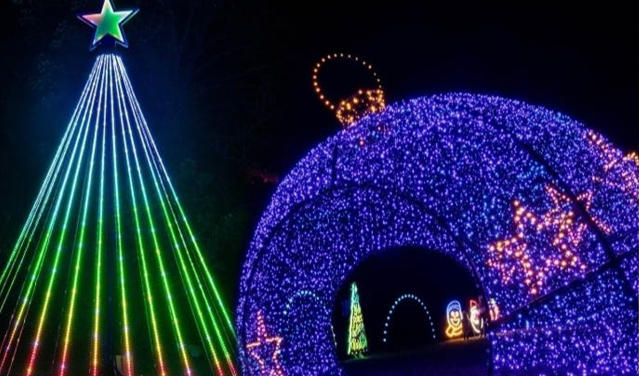 Where to See Christmas Lights in Miami 2023 - PureWow