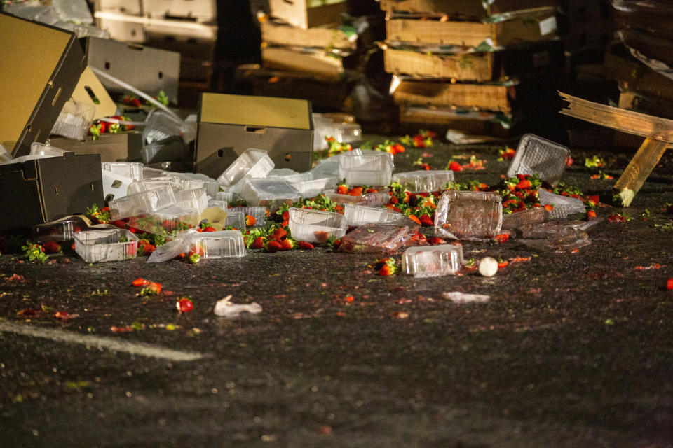 Wooden pallets full of fruit and vegetables are left strewn across the A38 into North Petherton after a member of public reported seeing several people coming out of a lorry on the road resulting in a police investigation and numerous arrests on suspicion of immigration offences. Somerset. 16 January 2020.   See SWNS story SWBRlorry