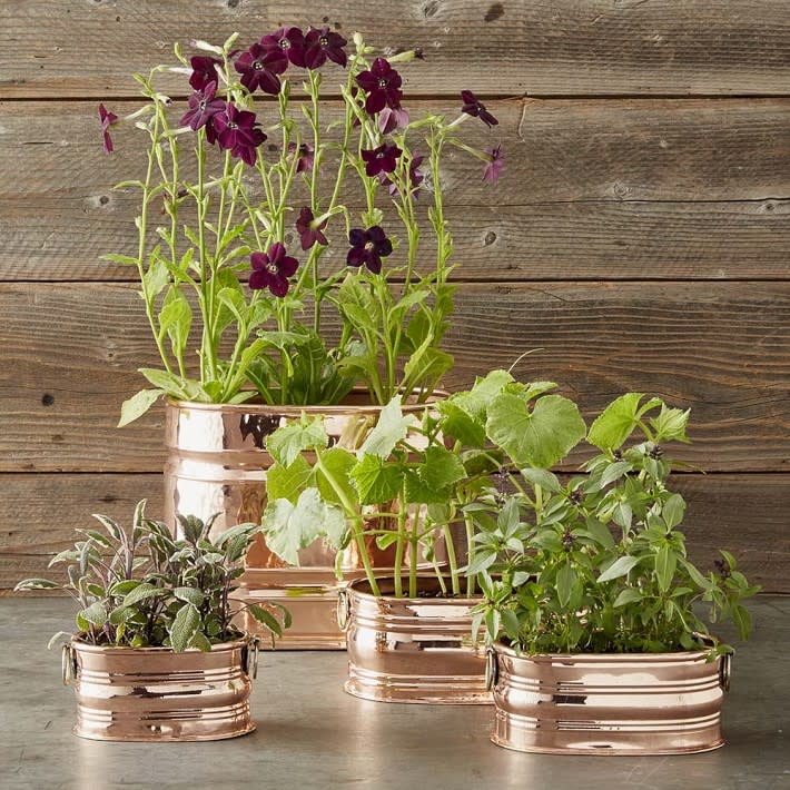 STYLECASTER | Cute Planters