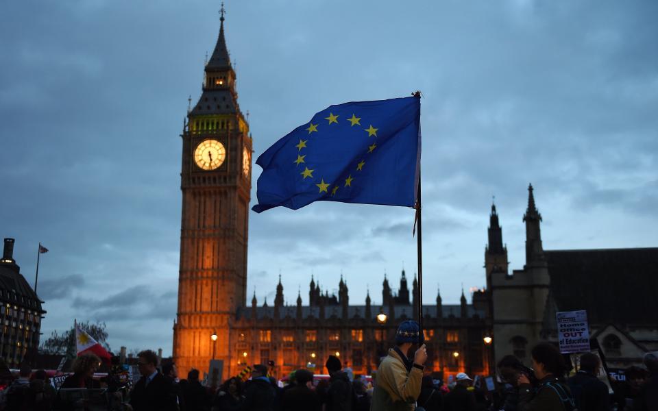 Pro EU migrants protest outside parliament in London, Britain, 20 February - Credit:  ANDY RAIN