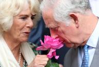 <p>Prince Charles literally stops to smell the roses during a trip to a flower market in Nice, France. </p>
