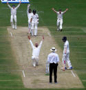 Australia's players successfully appeal for the wicket of India's captain Virat Kohli. REUTERS/Danish Siddiqui