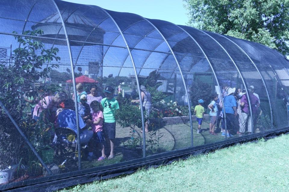 The hoop house at the Master Gardeners demonstration garden filled with plants, people and butterflies is a popular place during the Johnson County Fair in July.