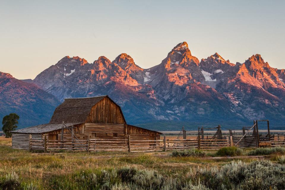 sunrise at mormon row, grand teton