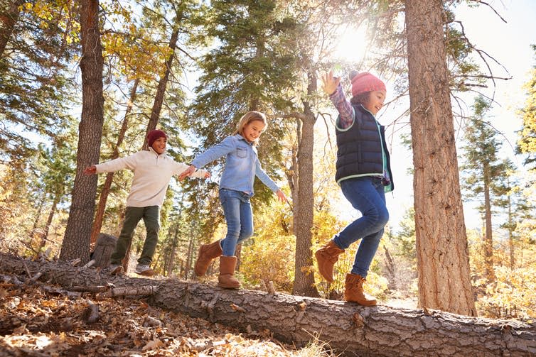 <span class="caption">Children need more than skateparks and playgrounds if they are to be independent and confident.</span> <span class="attribution"><a class="link " href="https://www.shutterstock.com/image-photo/children-having-fun-balancing-on-tree-389052964" rel="nofollow noopener" target="_blank" data-ylk="slk:Shutterstock;elm:context_link;itc:0;sec:content-canvas">Shutterstock</a></span>