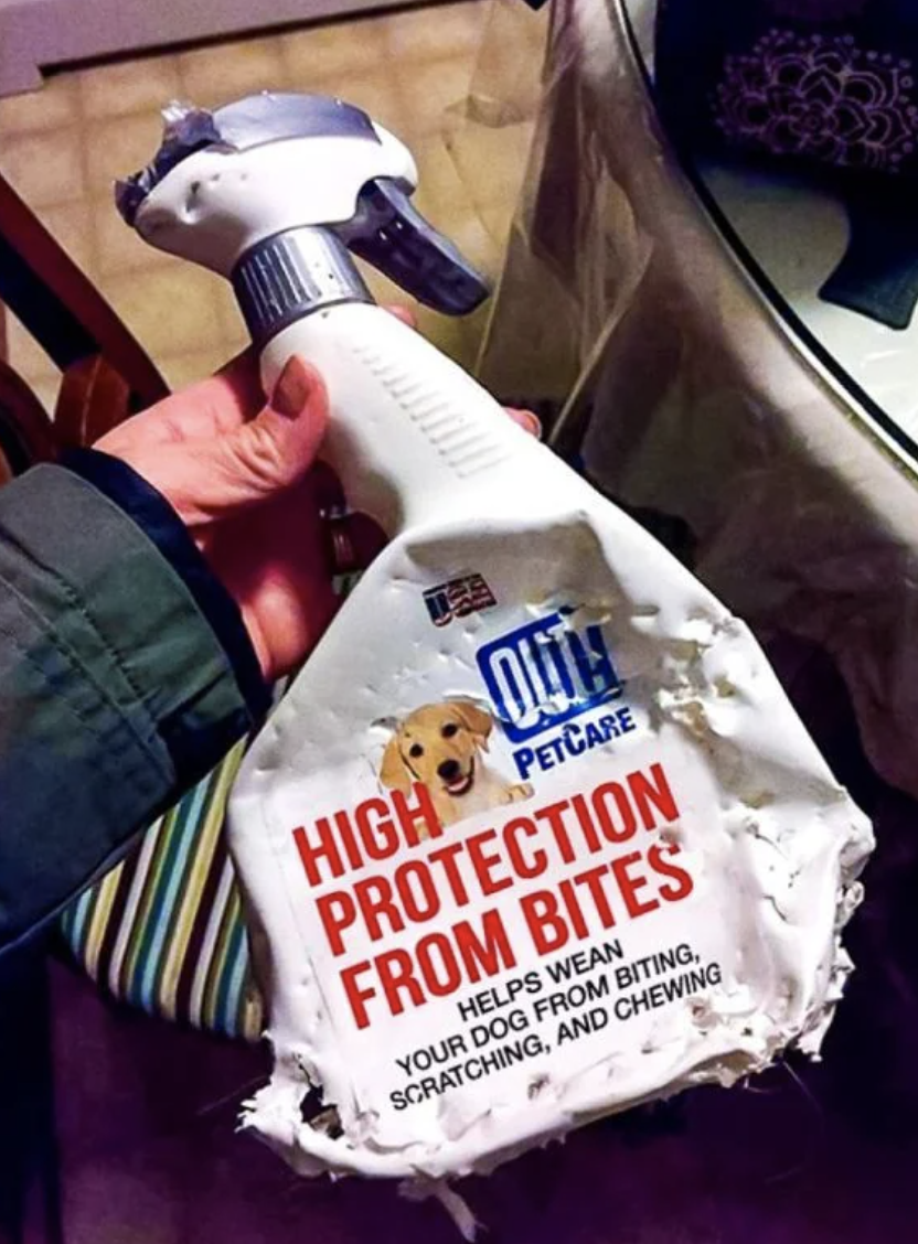 Chewed dog protection spray bottle, ironically damaged by a dog's bite