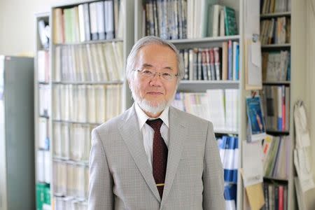 Yoshinori Ohsumi, a professor in Tokyo Institute of Technology is seen at his laboratory office in Yokohama, Japan, June 7, 2013 in this handout released by Tokyo Institute of Technology. Tokyo Institute of Technology/Handout via REUTERS