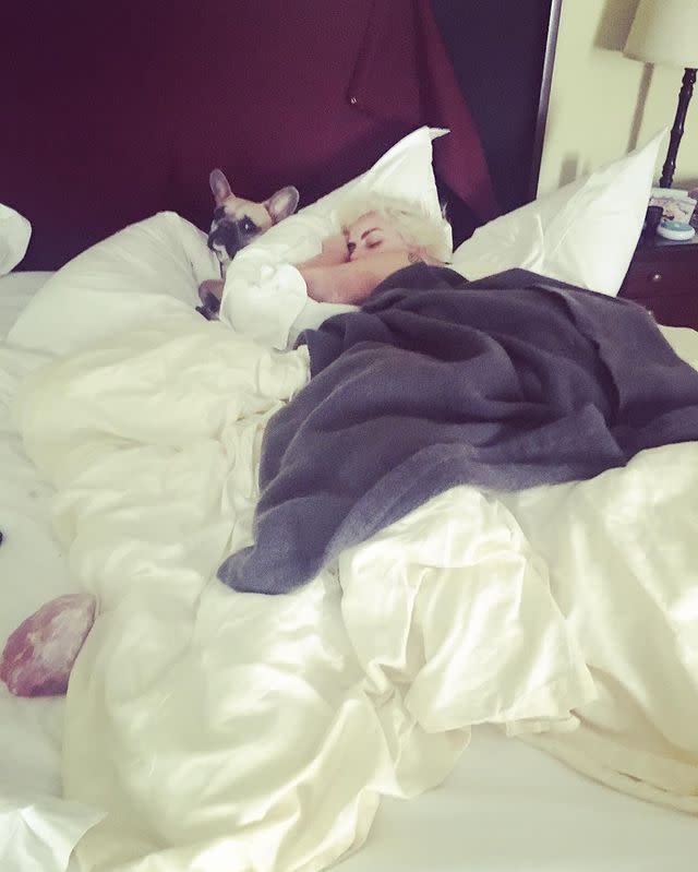 Lady Gaga's Dogs Were Stolen: See Photos of the Singer's French Bulldogs Asia, Koji and Gustav