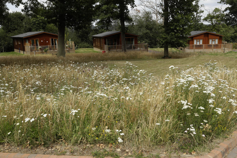 Holiday homes stand on display with mown grass and an area purposely left uncut for wildflowers in the landscaped grounds of the Edgeley Holiday Park in Farley Green, near Guildford, south west of London, Wednesday, July 22, 2020. With all schools now closed, Friday would normally be the busiest departure day of the year for London’s Gatwick Airport with families heading off to the sun-soaked beaches in southern Europe. Not this year as the coronavirus pandemic has meant many have opted against making their annual summer migration to countries like Spain and Greece. Gatwick would in any normal year be expecting to fly some 85,000 holidaymakers on Friday alone. It expects less than 10,000 passenger departures on Friday. (AP Photo/Matt Dunham)