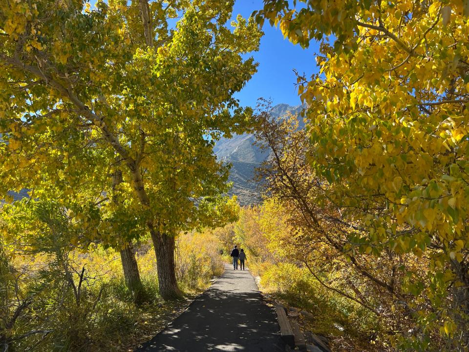A couple enjoys a walk through bright fall colors on Oct. 15, 2023, alongside Convict Lake in the Eastern Sierra near Mammoth Lakes, California.