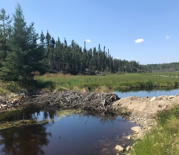Conservation Officers are asking for the publics help to find whoever made this alteration to Meridian Creek earlier this month.  (Submitted by Troy Hilts - image credit)