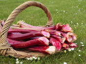 <b>Rhubarb</b>: Rhubarb is a plant with edible and flavorsome stems which are used as a part of a number of desserts. However the leaves of this plant contain an acid which is very harmful in nature. <br>Being observant about the quality and nature of food you consume is particularly imperative. Having complete knowledge and information about unusual foods is another important point to be taken care of.