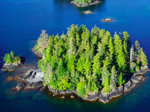 <p>For $297,000, you can purchase this 1.81-acre island off the coast of Alaska. On it are several potential building sites and places to build a dock. It’s perfect for those who love to fish for shrimp, crab, and clam. (Private Islands Inc.) </p>