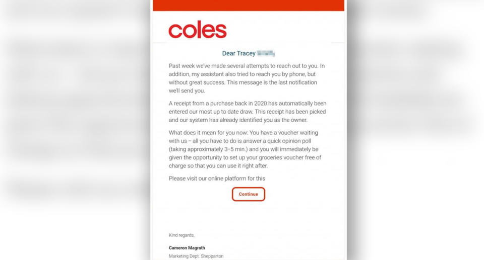 An email a customer received pretending to be from Coles. Source: Facebook