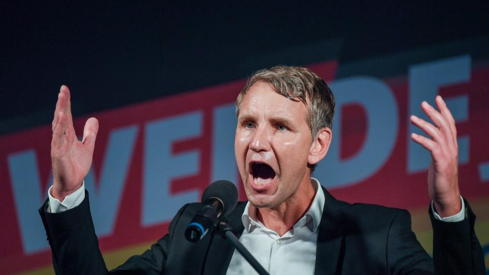 Laut der AfD-«Arbeitsgruppe Verfassungsschutz» war Björn Höcke unter den betrachteten Funktionären der AfD derjenige, von dem die meisten im Zusammenhang mit dem Verfassungsschutz relevanten Äußerungen stammten. Foto: Patrick Pleul