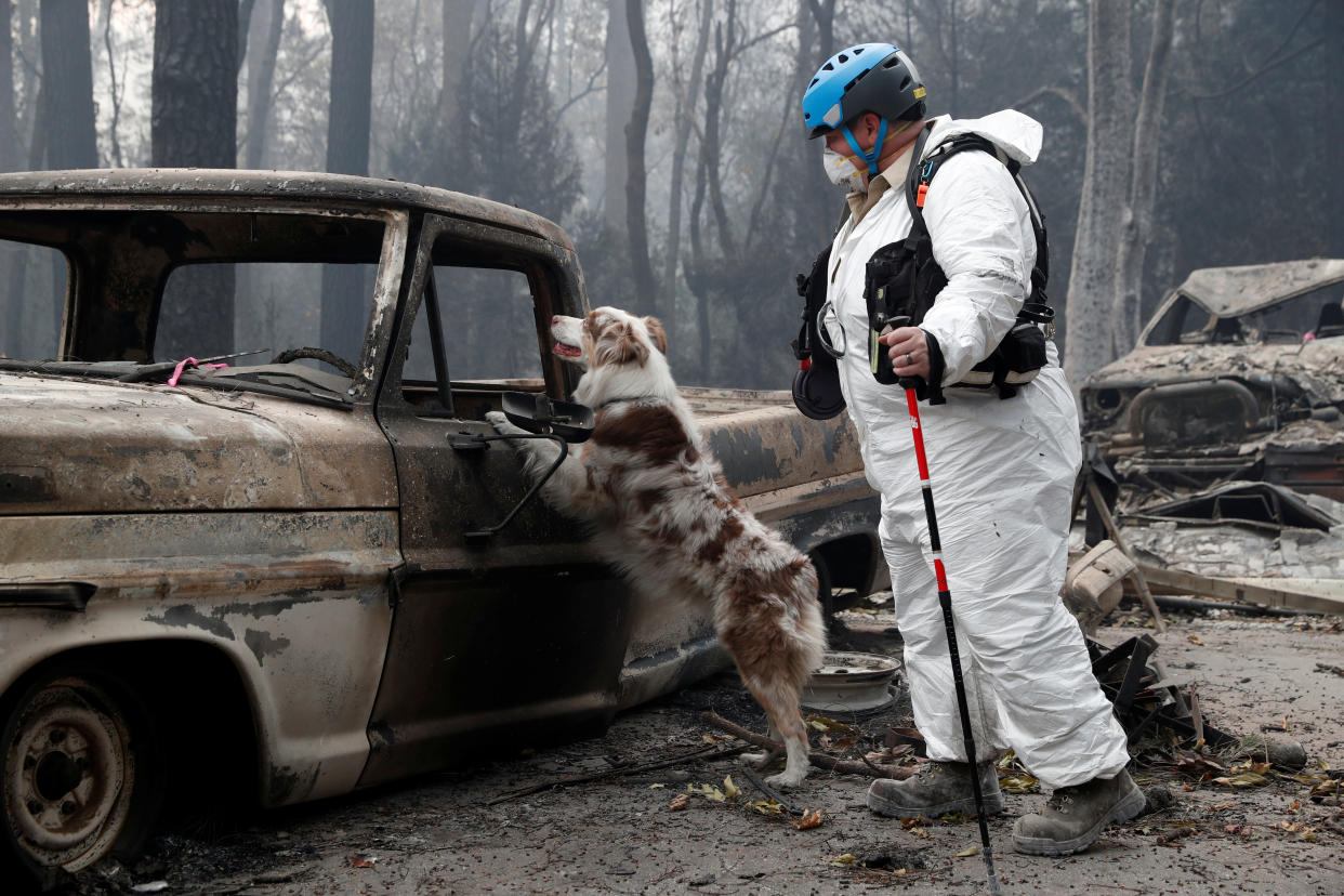 Trish Moutard of Sacramento searches for human remains with her cadaver dog, I.C., on Nov. 14, 2018, near a truck destroyed by the Camp Fire in Paradise, Calif. (Photo: Terray Sylvester/Reuters)