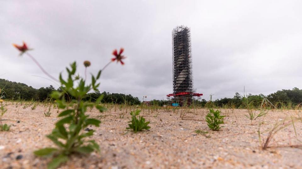 Native plantings dot the landscape around the Cape Hatteras Lighthouse as part of a restoration project on Monday, July 1, 2024. The project is expected to cost $19.2 million and will include replacing 40,000 of its estimated 1,250,000 bricks, replacing rusted or broken metal components and the installation of a near-exact replica of the first-order Fresnel lens.