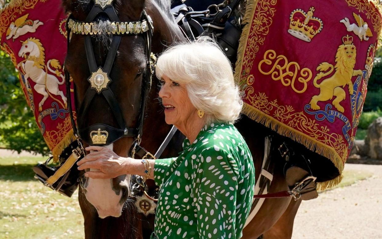 Queen Camilla named the latest Houshold Cavalry drum horse Juno